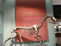 -齐齐哈尔市博物馆