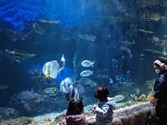 -华夏文旅海洋公园