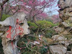 -杭州植物园