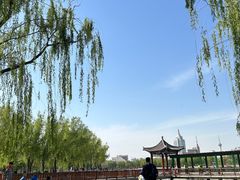 -莲花池公园