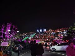 -枇杷园食为鲜火锅(南山店)