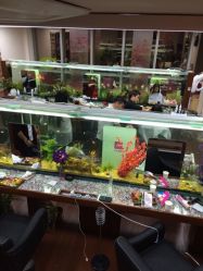 小左美发(南京东路店)-小左美发