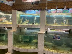-外沙富龙城酒楼(老街店)