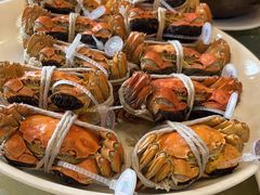 -蔡阿水羊肉店