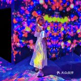 魔都看展|teamlab一部手机出大片的展览