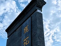 -莲花池公园