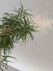 -锦尚名仕Hair Salon