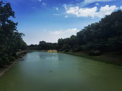 -上海海湾国家森林公园