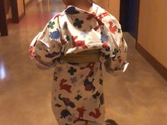 -琵琶湖绿水亭温泉酒店