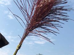 -煲宫(华润万象城店)