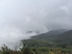 -武陵山森林公园