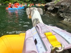 -安吉龙王山峡谷漂流