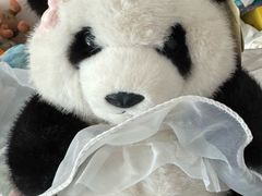 -星河湾温泉洗浴酒店