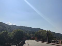 -风云岭森林公园