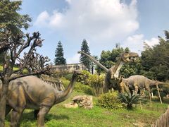 -自贡恐龙博物馆