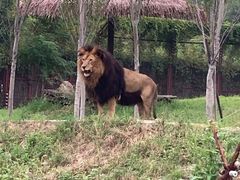 -沈阳森林动物园