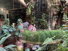 -正佳雨林生态植物园
