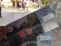 -桂湖森林公园