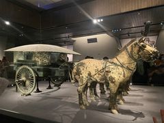 -秦始皇帝陵博物院-丽山园