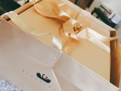 -BLACKSWAN黑天鹅(环球店)