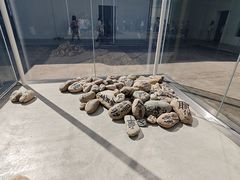 -金泽21世纪美术馆