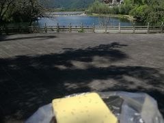 -蔺大妈松花糕