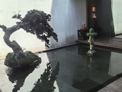 -觀芷隐轩