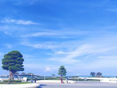 -野狸岛