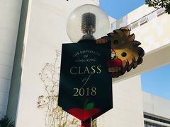 -香港大学