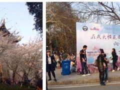 -武汉大学-樱园