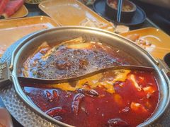 -牛New寿喜烧(金鹰世界店)