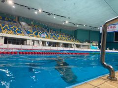 -重庆市奥林匹克体育中心-游泳跳水馆