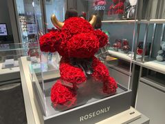 -ROSEONLY诺誓(磐基中心店)