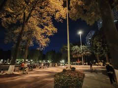-温江公园