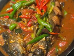 -金龙寨(解西店)