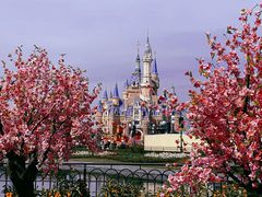 -上海迪士尼度假区