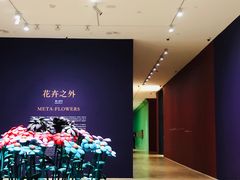 -德基艺术博物馆