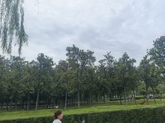 -洨河生态公园