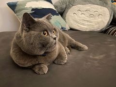 -KKV(深圳宏发大仟里店)