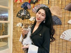 -楼上猫咖(罗湖店)