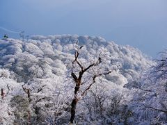-梵净山旅游区