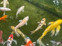 -熙盛源(复兴路店)