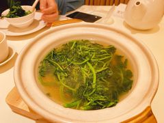 原汁原味西洋菜-利苑酒家(合景国际金融广场店)