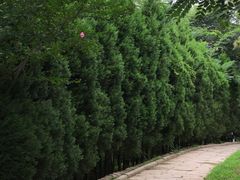 -观象山公园