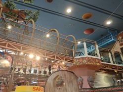 -卡通尼·Safari非洲探索乐园·生日会(金桥国际商业广场店)