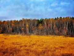 -塞罕坝国家级自然保护区