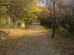 -金龙寺国家森林公园