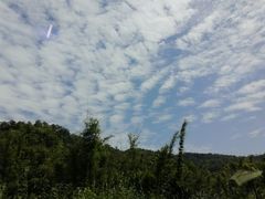 -碧桂园十里银滩