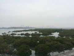 景点-北海金海湾红树林生态旅游区