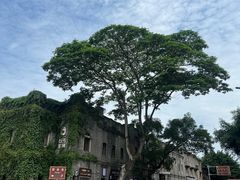 -三坊七巷历史文化街区